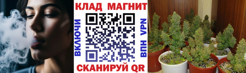 Наркотические вещества Владимир Канабис  Галлюциногенные грибы  Гашиш  Кокаин  A PVP 