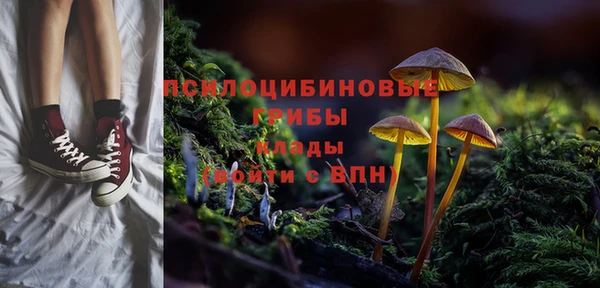не бодяженный Михайлов