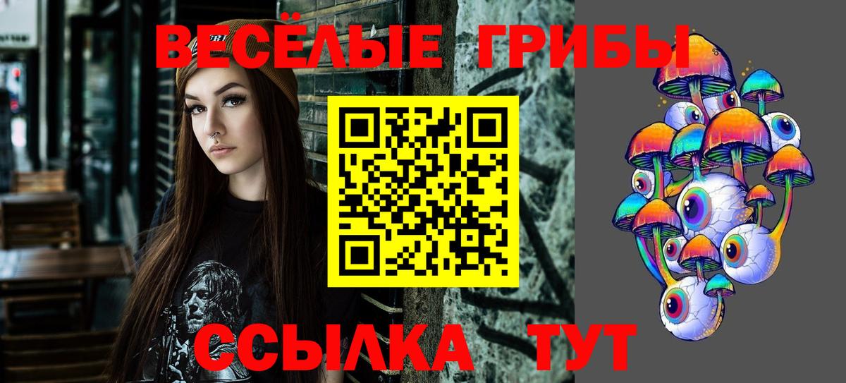 Псилоцибиновые грибы прущие грибы  даркнет сайт  Вход с VPN  Владимир  Галлюциногенные грибы GOLDEN TEACHER 